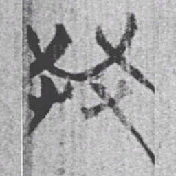上博简共书法图片