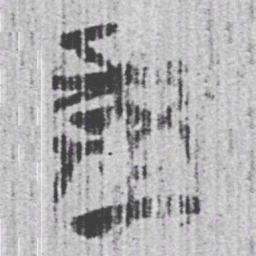上博简量书法图片