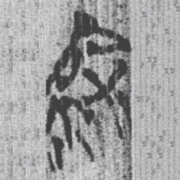 上博简深书法图片