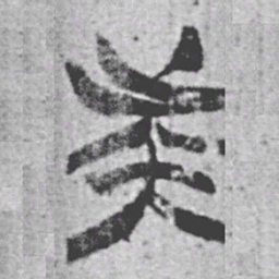 上博简族书法图片