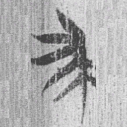 上博简求书法图片