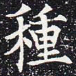 欧阳通种书法图片