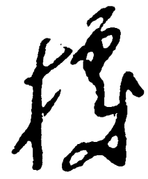 毛泽东据书法图片
