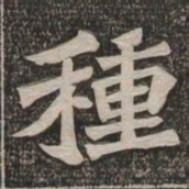 王代功种书法图片
