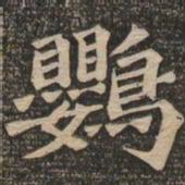 王代功鹦书法图片