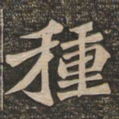 王代功种书法图片