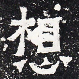 想书法图片