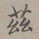 赵孟頫兹书法图片