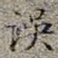 李在铦误书法图片