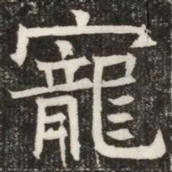 寵书法图片