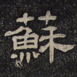 苏书法图片
