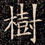 樹书法图片