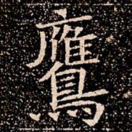 鷹书法图片
