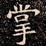 掌书法图片