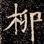 柳书法图片
