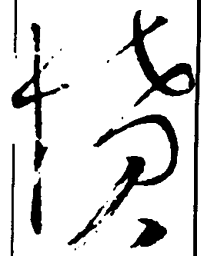 王铎愤书法图片