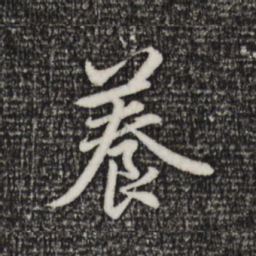 赵孟頫养书法图片