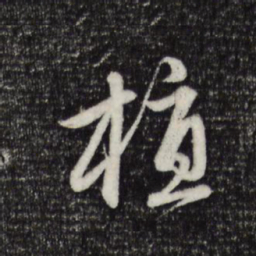 赵孟頫植书法图片