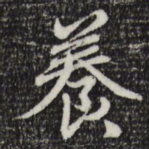 赵孟頫养书法图片