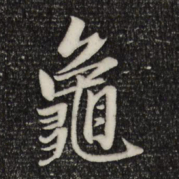 赵孟頫龟书法图片