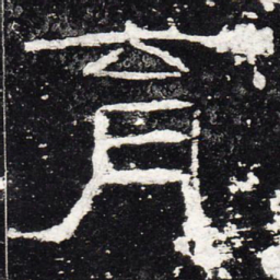 育书法图片
