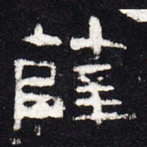 薛书法图片