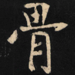 魏碑骨书法图片