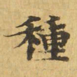 种书法图片