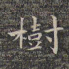祝允明树书法图片