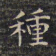 祝允明种书法图片