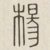 杨书法图片