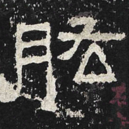肱书法图片