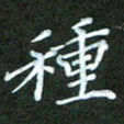 彭仲伟种书法图片
