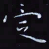 杨勇定书法图片