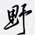 姚辛屹峰野书法图片