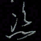 谭立君恣书法图片