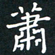 曾云才萧书法图片