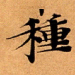 種书法图片