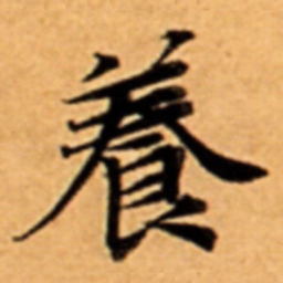 養书法图片