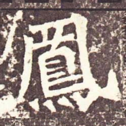 魏碑凤书法图片