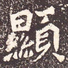 魏碑显书法图片