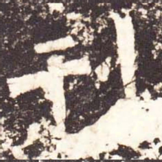 魏碑刊书法图片