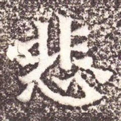 魏碑悲书法图片