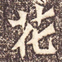 魏碑花书法图片