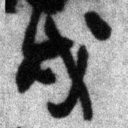 王铎戌书法图片