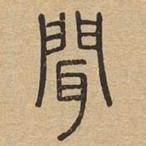 闻书法图片