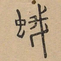 蛾书法图片