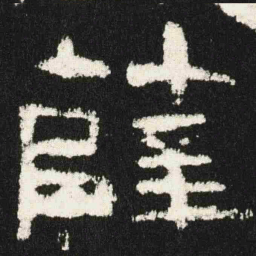 薛书法图片