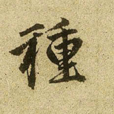赵孟頫种书法图片