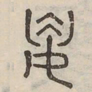 婁书法图片